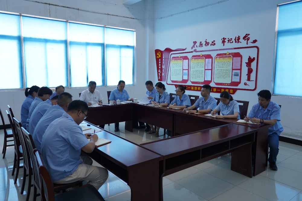 專題組織生活會(huì)1.JPG